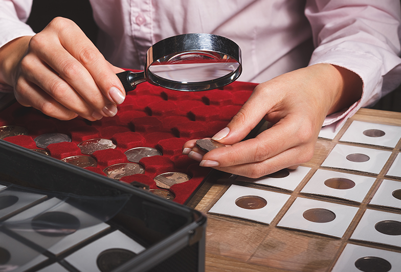 Coin collector examines their collection